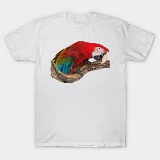 Red-and-green Macaw T-Shirt